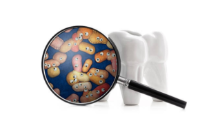 20602 Periodontist